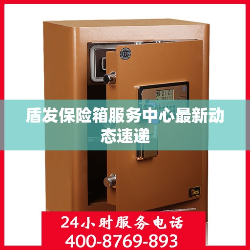 盾发保险箱服务中心最新动态速递