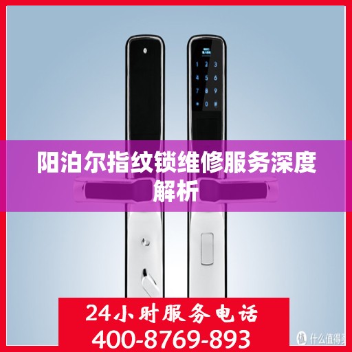 阳泊尔指纹锁维修服务深度解析