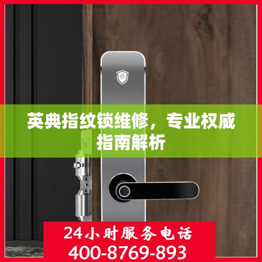 英典指纹锁维修，专业权威指南解析