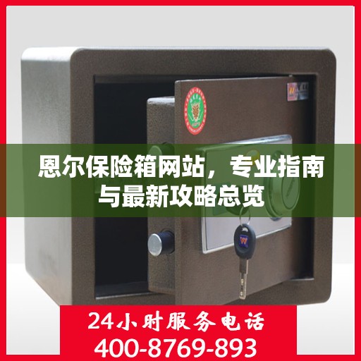 恩尔保险箱网站，专业指南与最新攻略总览