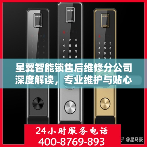 星翼智能锁售后维修分公司深度解读，专业维护与贴心服务