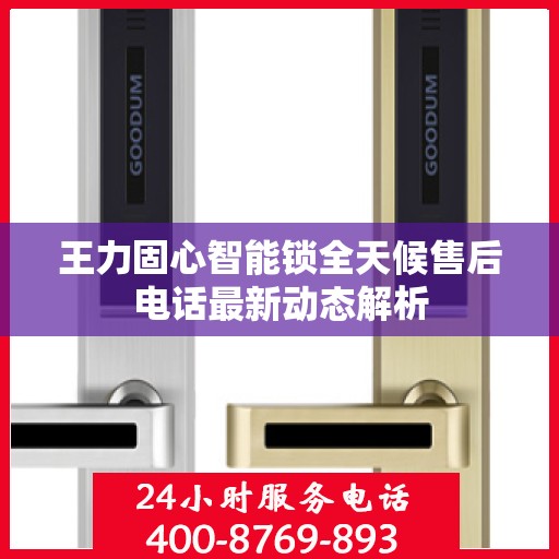 王力固心智能锁全天候售后电话最新动态解析