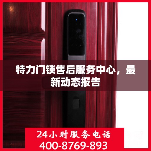 特力门锁售后服务中心，最新动态报告