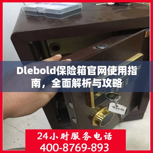Dlebold保险箱官网使用指南，全面解析与攻略