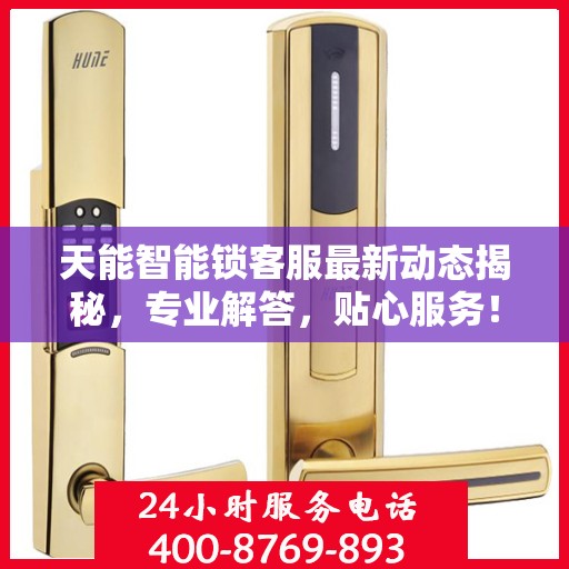 天能智能锁客服最新动态揭秘，专业解答，贴心服务！