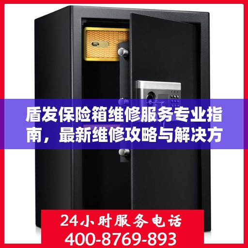 盾发保险箱维修服务专业指南，最新维修攻略与解决方案