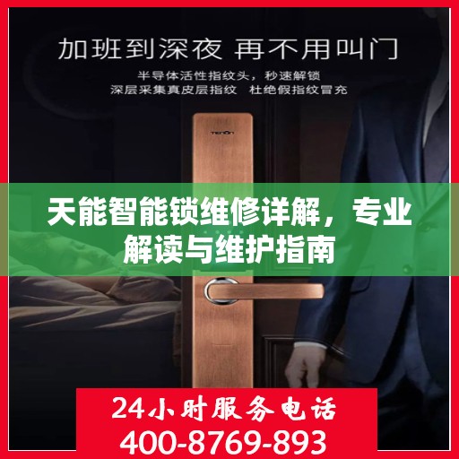 天能智能锁维修详解，专业解读与维护指南