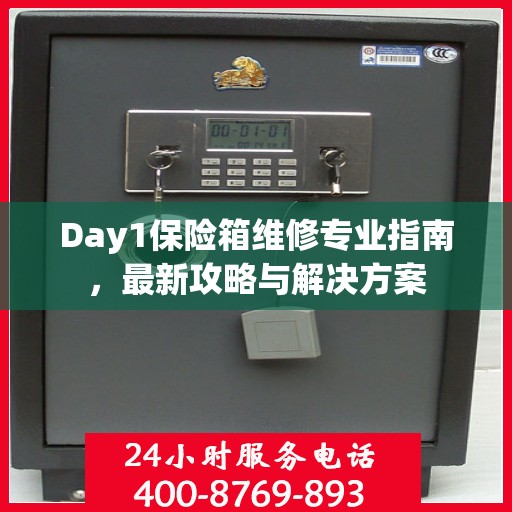 Day1保险箱维修专业指南，最新攻略与解决方案