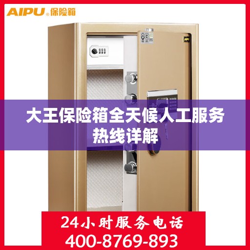 大王保险箱全天候人工服务热线详解