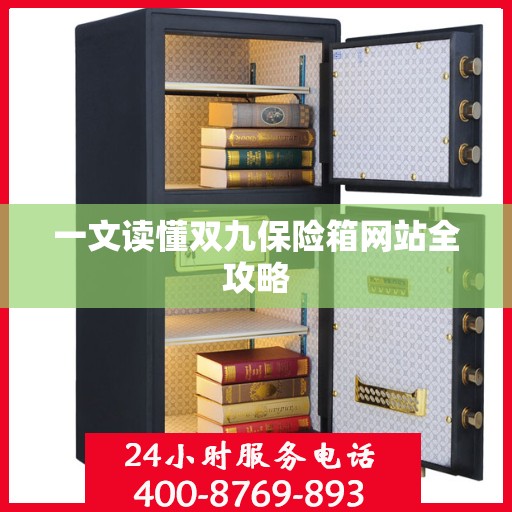 一文读懂双九保险箱网站全攻略