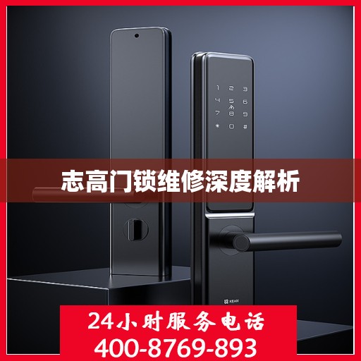 志高门锁维修深度解析