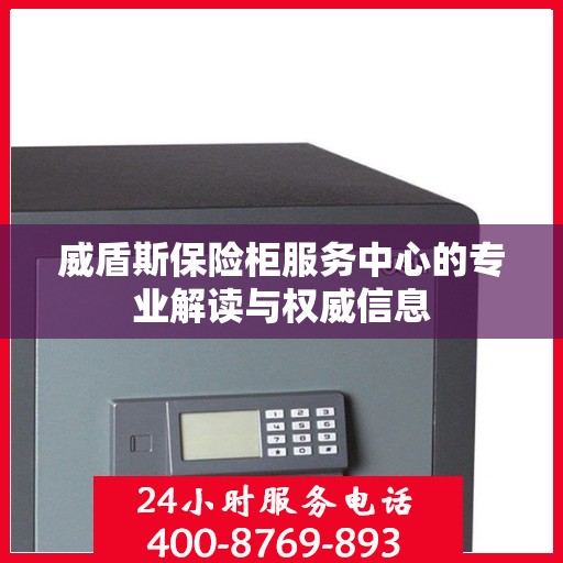 威盾斯保险柜服务中心的专业解读与权威信息