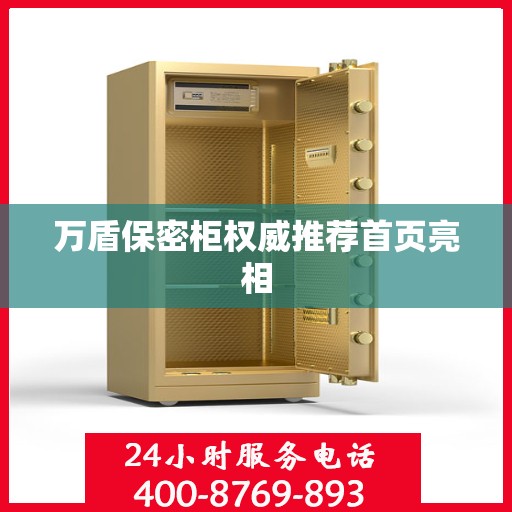 万盾保密柜权威推荐首页亮相