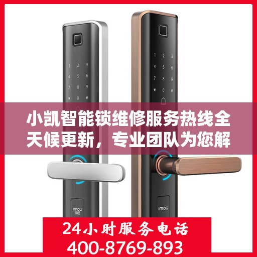 小凯智能锁维修服务热线全天候更新，专业团队为您解答疑难
