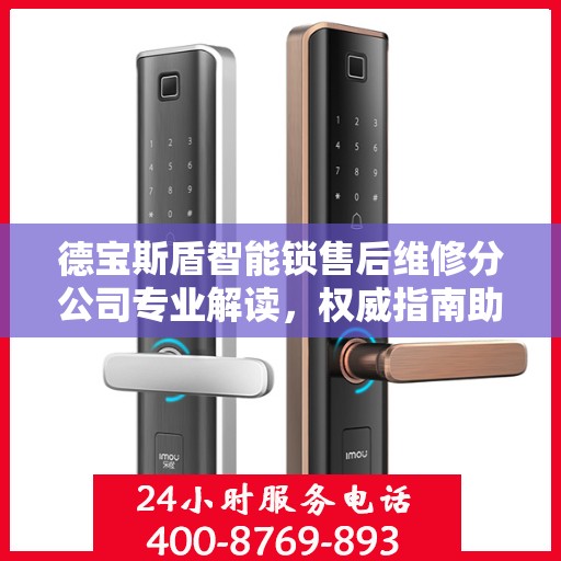 德宝斯盾智能锁售后维修分公司专业解读，权威指南助你无忧解决锁具问题