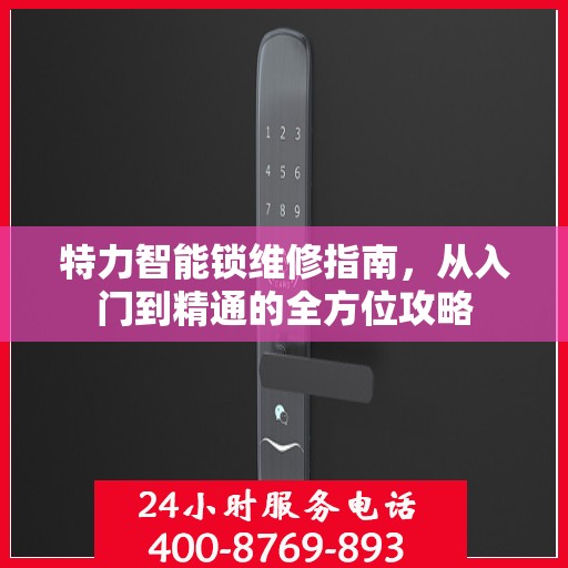 特力智能锁维修指南，从入门到精通的全方位攻略