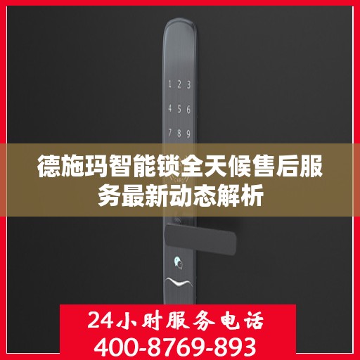 德施玛智能锁全天候售后服务最新动态解析