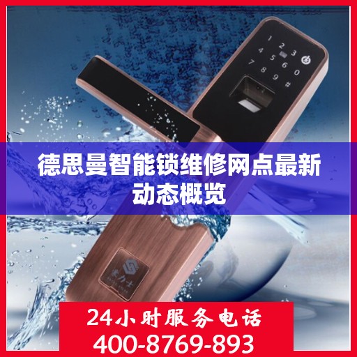 德思曼智能锁维修网点最新动态概览