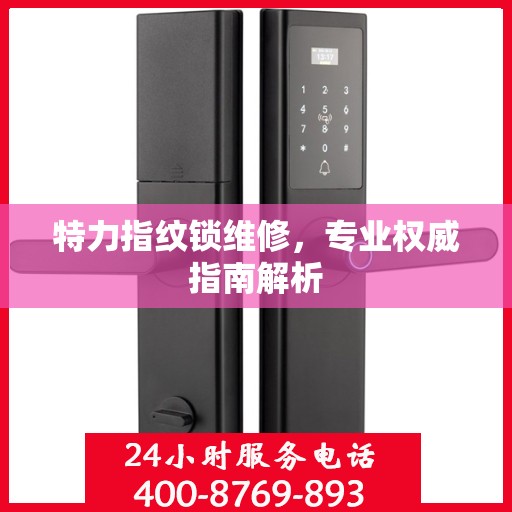 特力指纹锁维修，专业权威指南解析