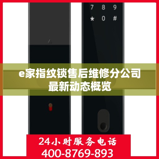 e家指纹锁售后维修分公司最新动态概览