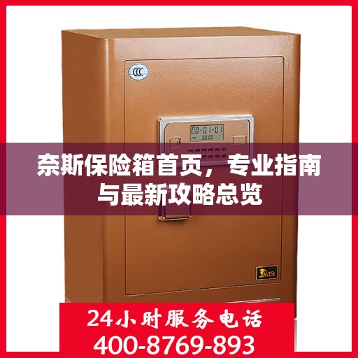 奈斯保险箱首页，专业指南与最新攻略总览