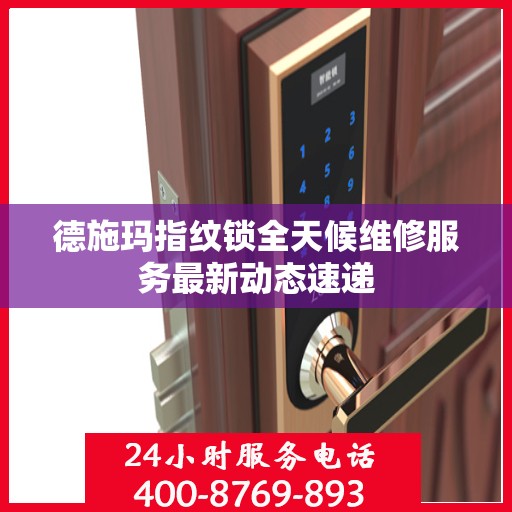 德施玛指纹锁全天候维修服务最新动态速递