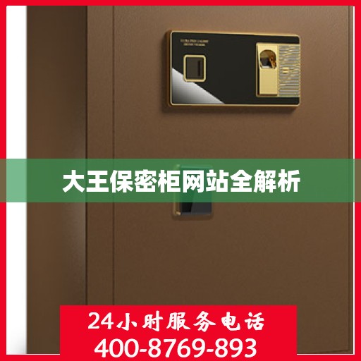 大王保密柜网站全解析