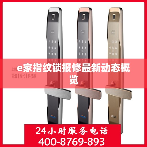 e家指纹锁报修最新动态概览