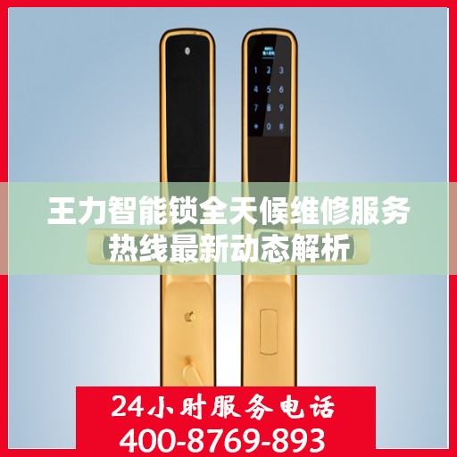 王力智能锁全天候维修服务热线最新动态解析