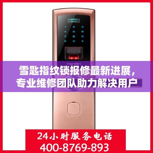 雪匙指纹锁报修最新进展，专业维修团队助力解决用户问题