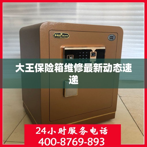 大王保险箱维修最新动态速递