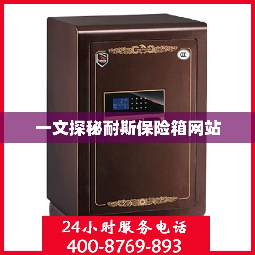 一文探秘耐斯保险箱网站