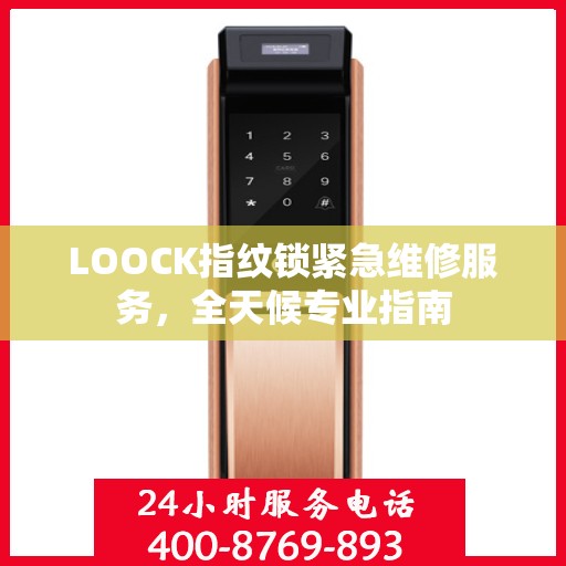 LOOCK指纹锁紧急维修服务，全天候专业指南