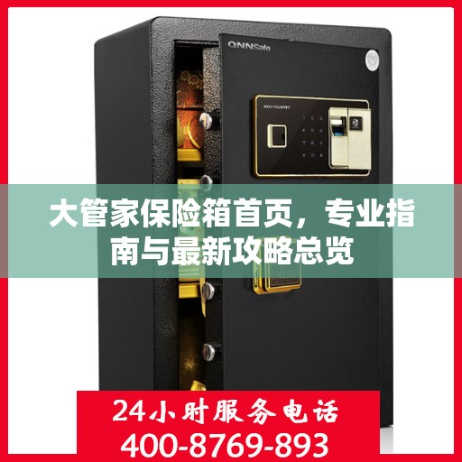 大管家保险箱首页，专业指南与最新攻略总览