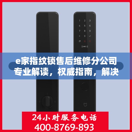 e家指纹锁售后维修分公司专业解读，权威指南，解决您的锁事疑难