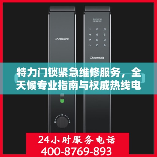 特力门锁紧急维修服务，全天候专业指南与权威热线电话