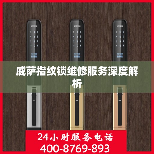 威萨指纹锁维修服务深度解析