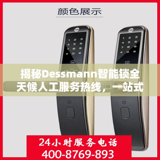 揭秘Dessmann智能锁全天候人工服务热线，一站式解读指南