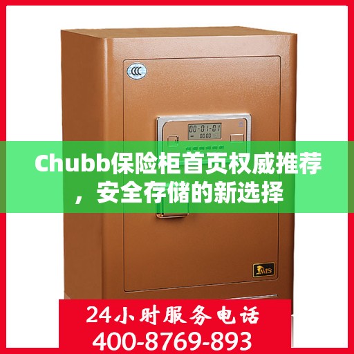 Chubb保险柜首页权威推荐，安全存储的新选择