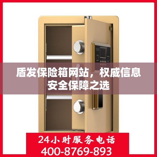 盾发保险箱网站，权威信息安全保障之选