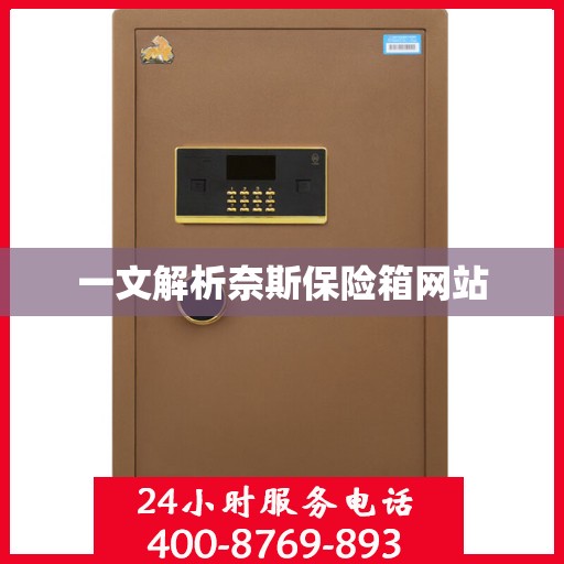 一文解析奈斯保险箱网站