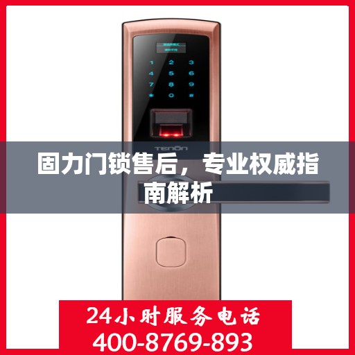 固力门锁售后，专业权威指南解析