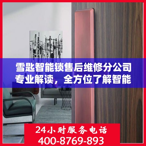 雪匙智能锁售后维修分公司专业解读，全方位了解智能锁维护与保障