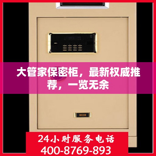 大管家保密柜，最新权威推荐，一览无余