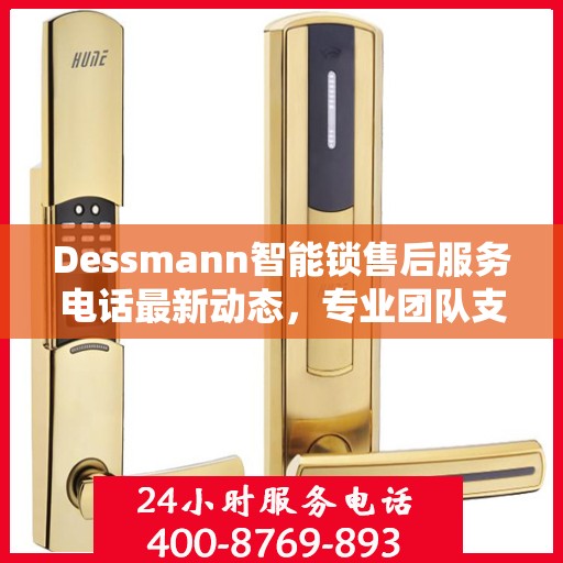 Dessmann智能锁售后服务电话最新动态，专业团队支持，贴心服务保障