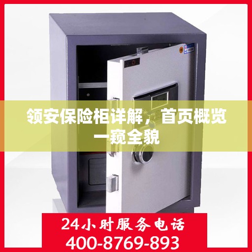 领安保险柜详解，首页概览一窥全貌