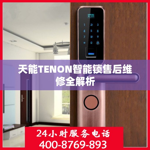 天能TENON智能锁售后维修全解析