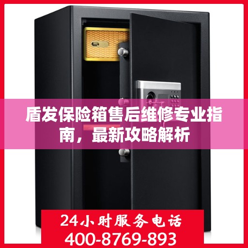 盾发保险箱售后维修专业指南，最新攻略解析