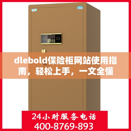 dlebold保险柜网站使用指南，轻松上手，一文全懂