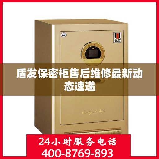 盾发保密柜售后维修最新动态速递